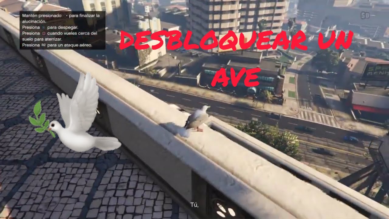 COMO DESBLOQUEAR UN AVE PARA EN EL MODO DIRECTOR $$$$