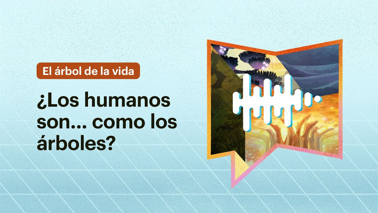 ¿Los humanos son… como los árboles?