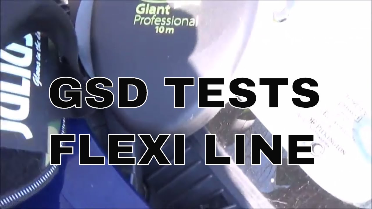 German Shepherd tests Giant Flexi professional 10 mtr Line