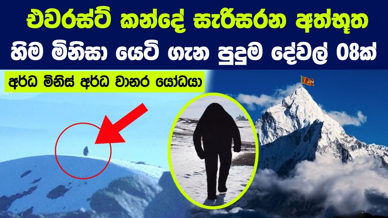 එවරස්ට් කන්දේ සැරිසරන අත්භූත හිම මිනිසා යෙටි ගැන පුදුම දේවල් 08ක් | Evidence of the Yeti