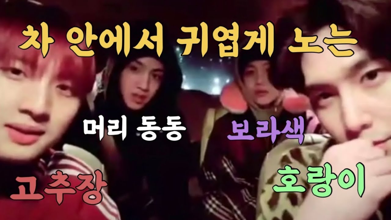 [펜타곤/진호/후이/신원/우석] 차 안에서 귀엽게 노는 타곤이들
