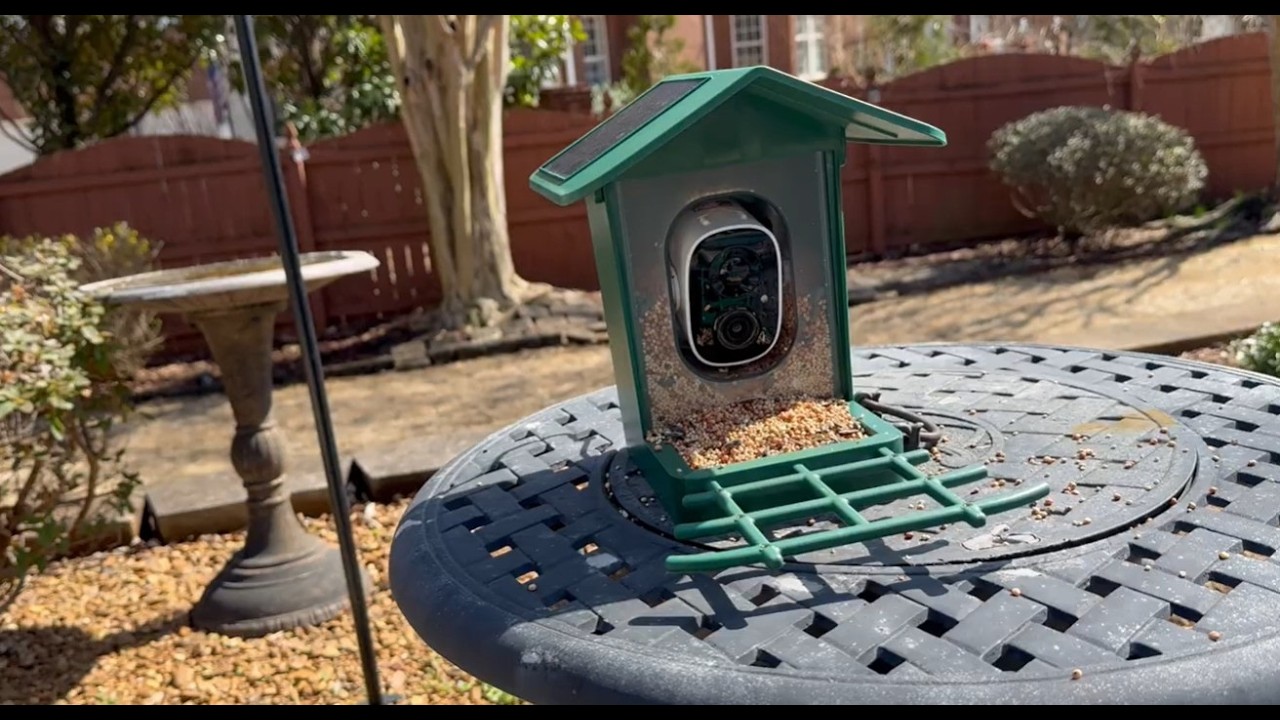 Bird Watching Tips and My Motion Dectector Video Camera 