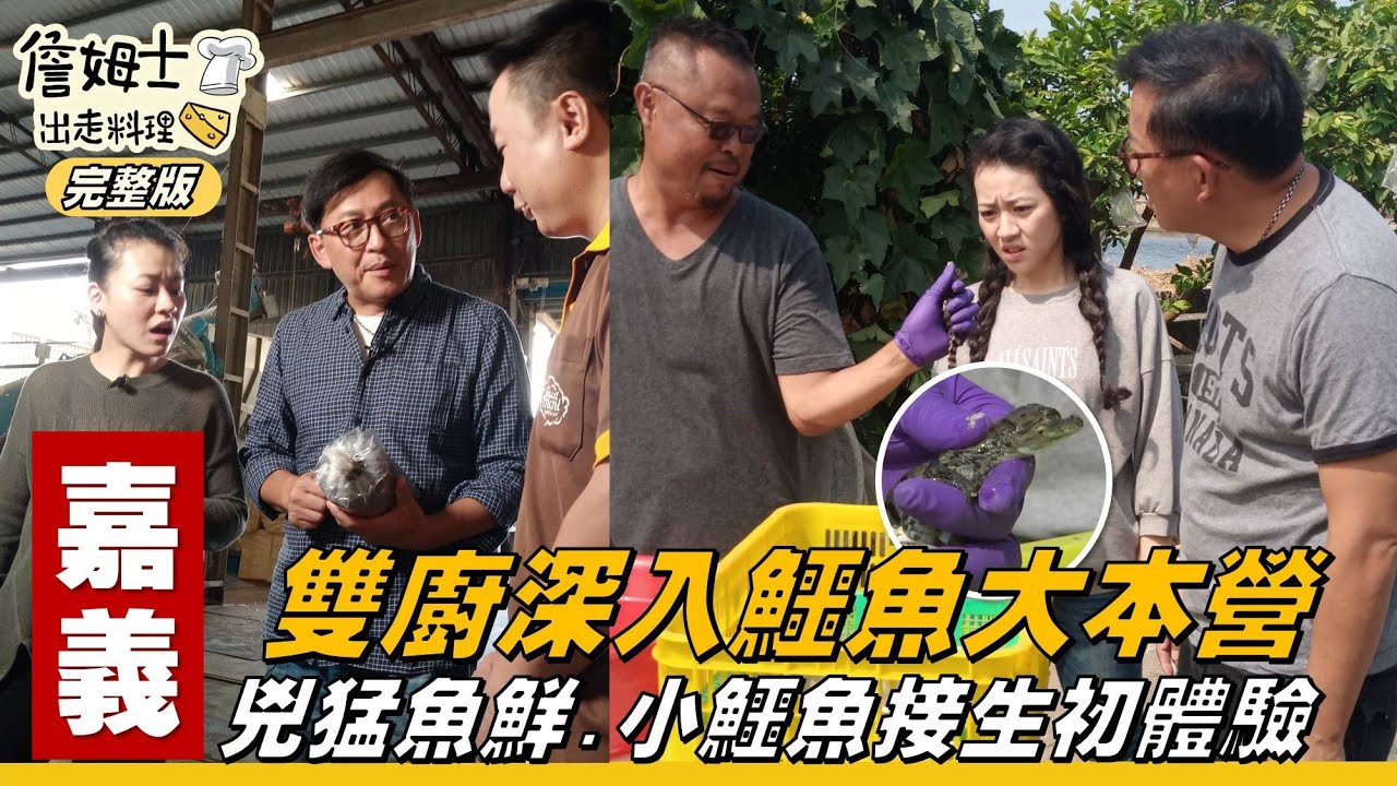 《詹姆士出走料理》嘉義｜詹姆士與昭蓉深入鱷魚大本營 小鱷魚接生初體驗-第95集-2020/11/29