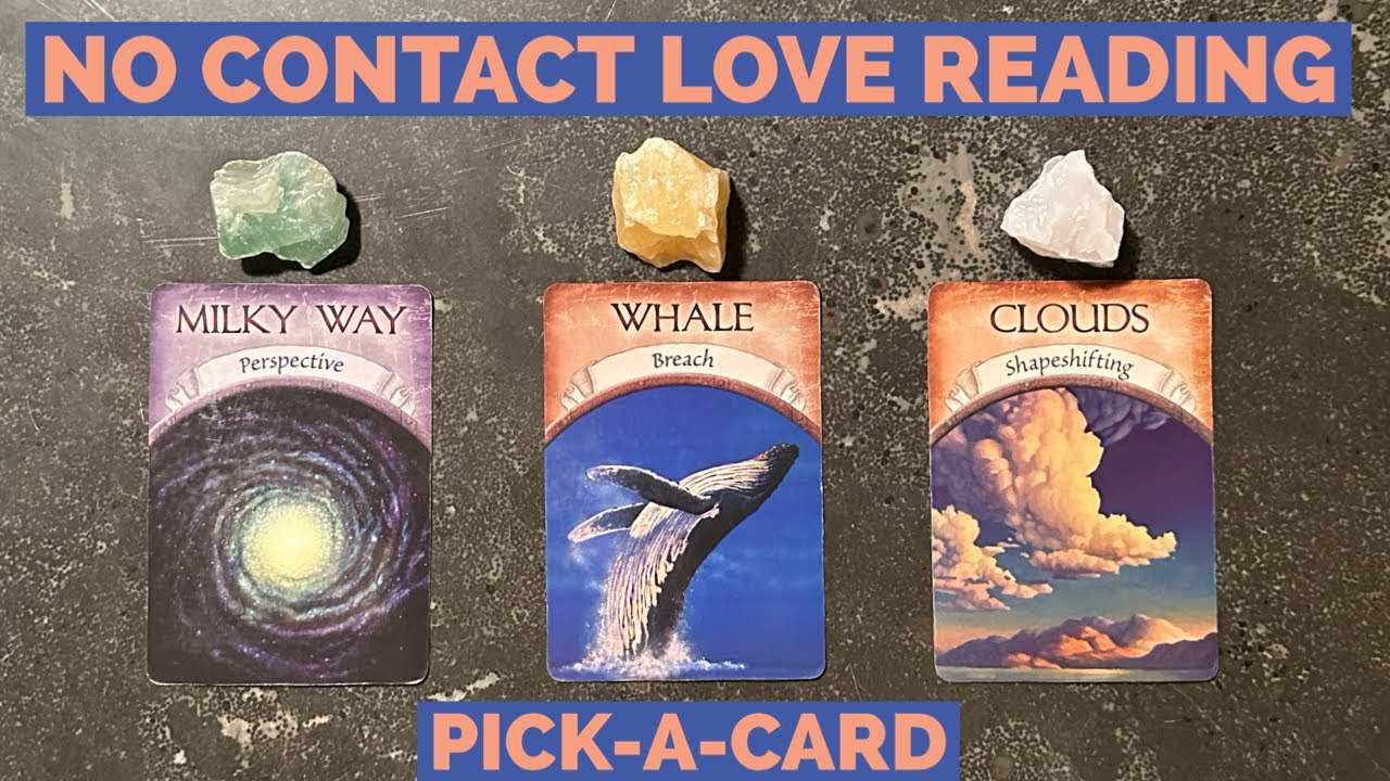 👤🤫❤️‍🩹No Contact Love Reading❤️Pick-A-Card Love Reading❤️