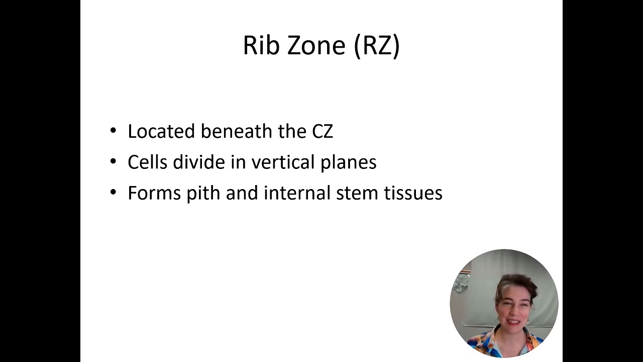 Cytohistological Zonation Theory