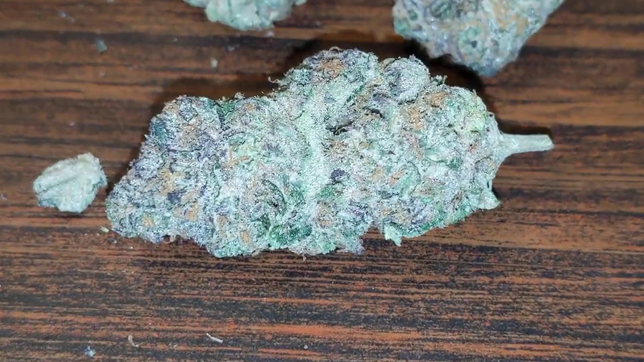 Ice cream cake strain review... Close-up look to see all the trichomes