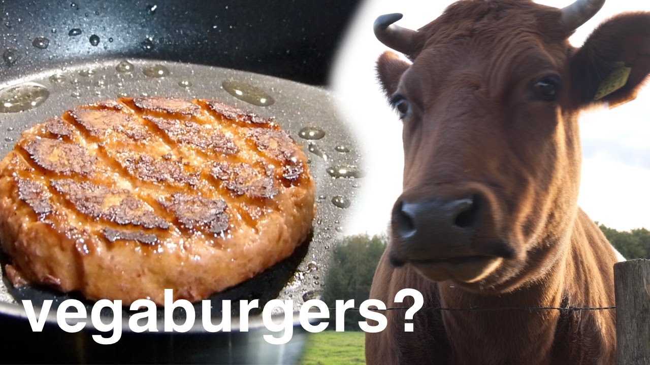 Alle vegaburgers uit de supermarkt getest! Goed idee?