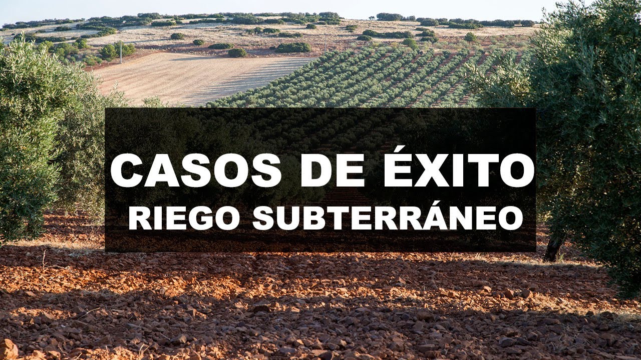 Riego subterráneo (RGS) en cultivos leñosos: Casos de éxito.