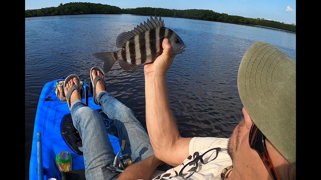 Sheepshead for Dinner