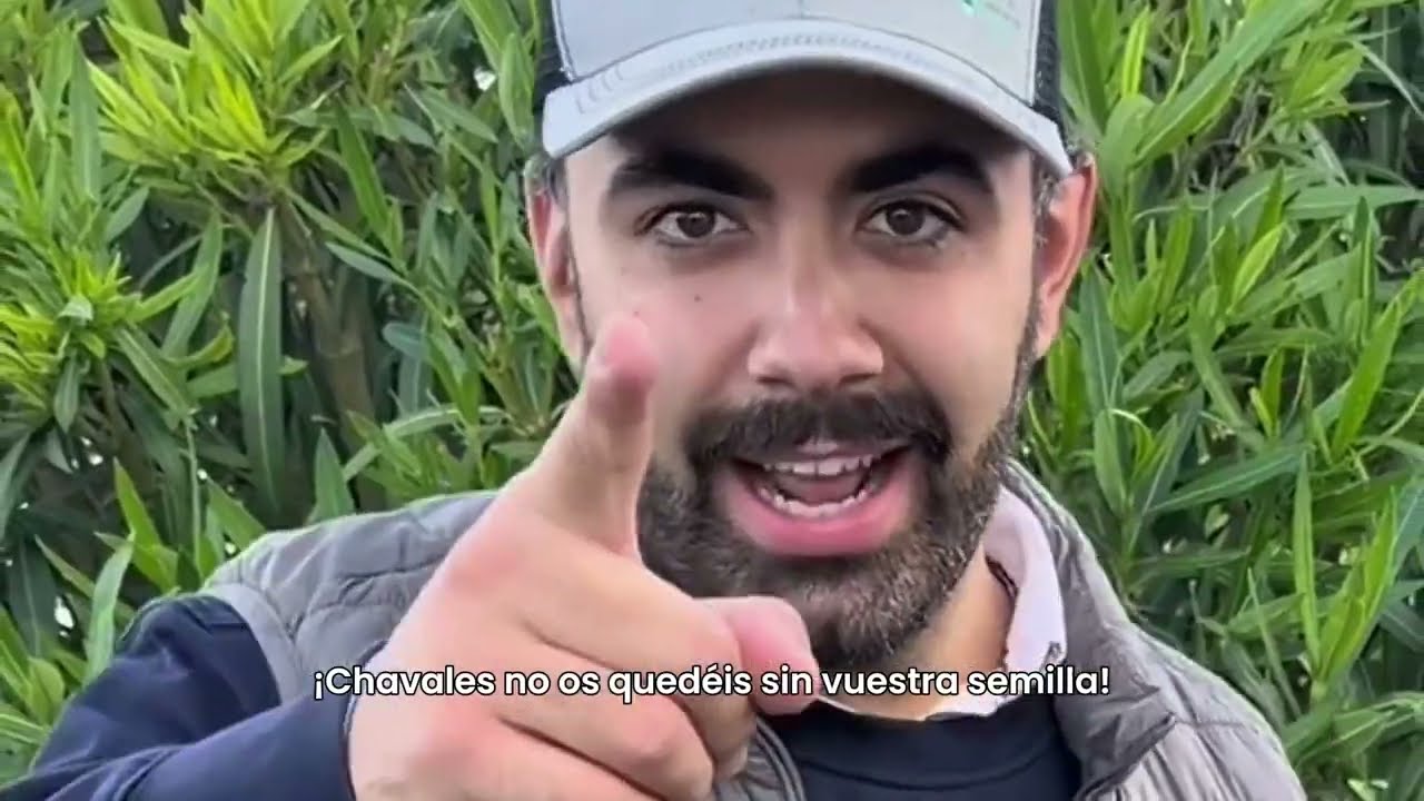 Conoce Cropwise Seed Selector, de Syngenta