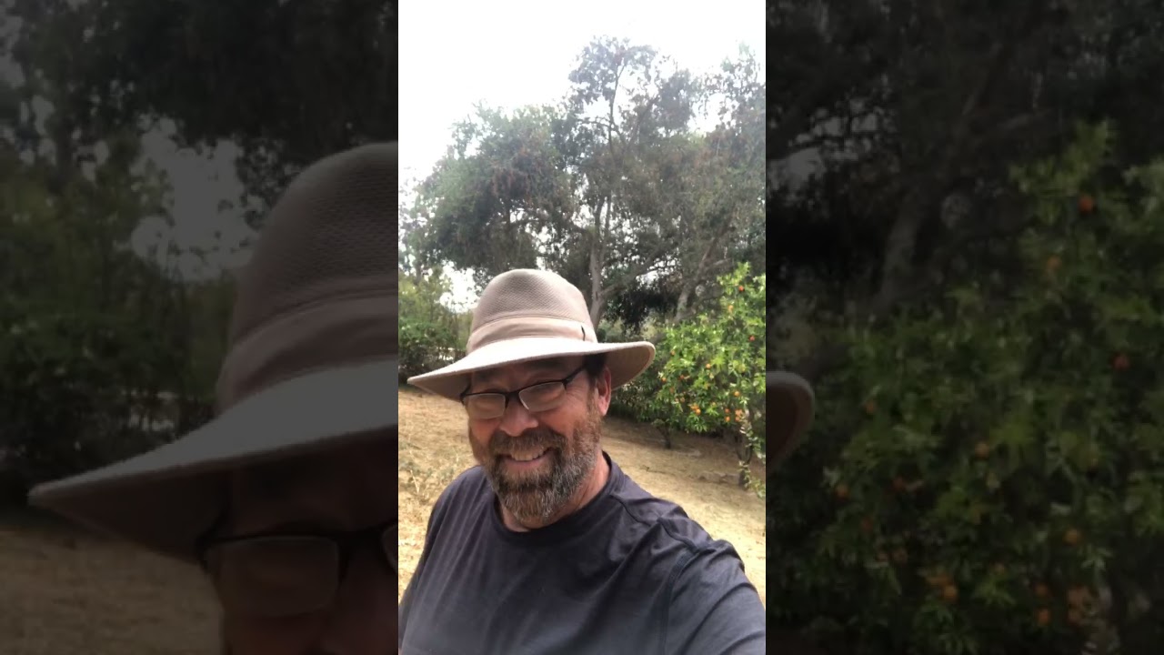 Weeds (part 1) 4-20-21