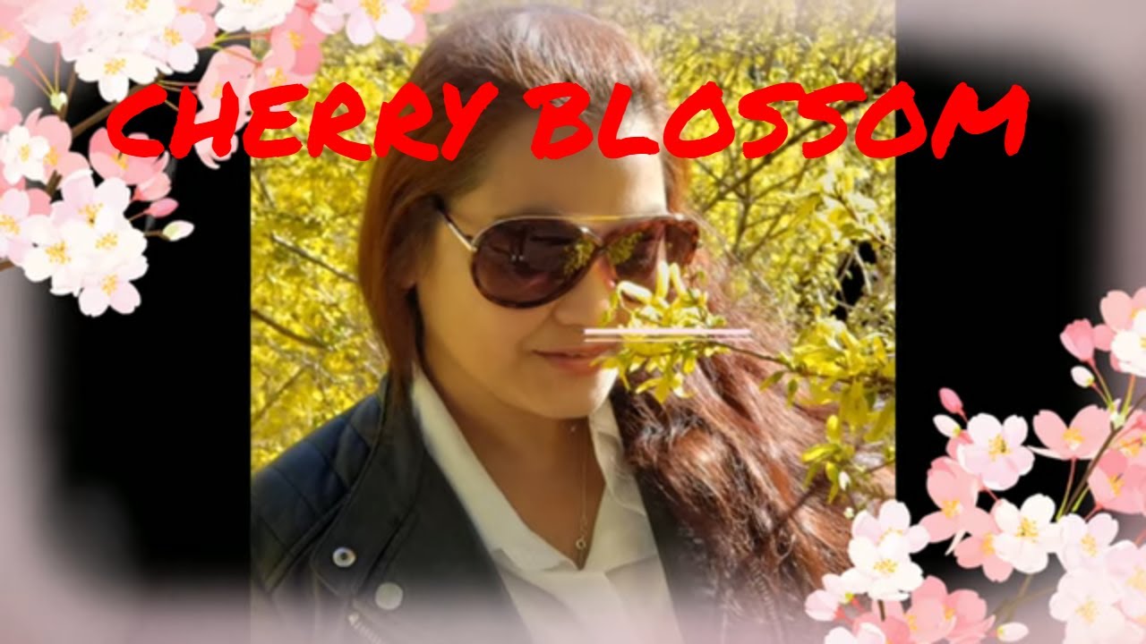 CHERRY BLOSSOM Part 1|Kneath