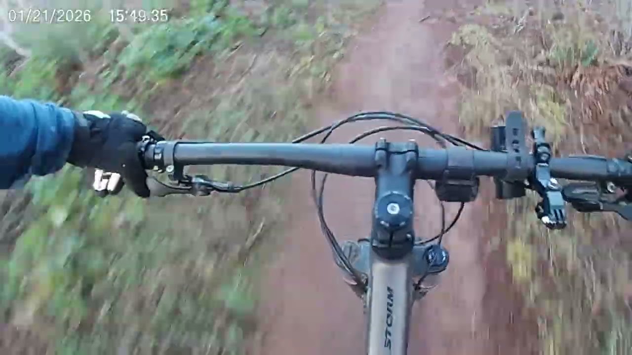 Let's hit some trails