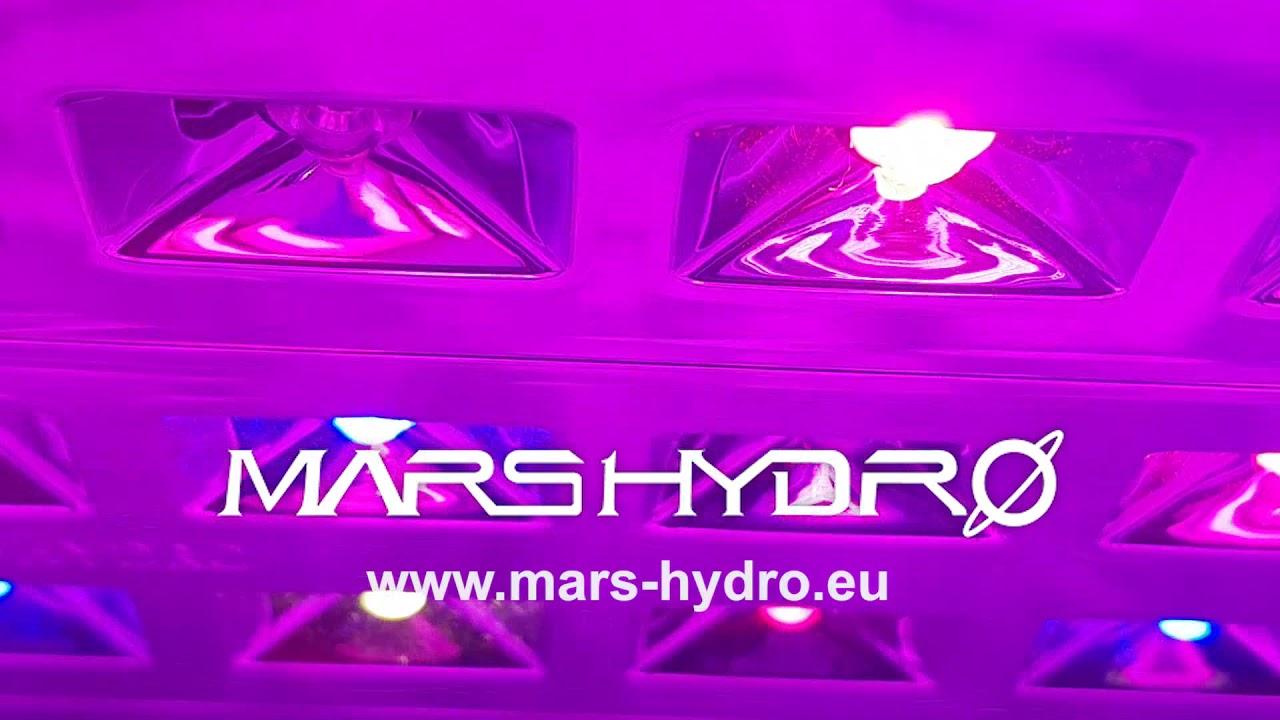 Mars Hydro TS 600 Grow Light