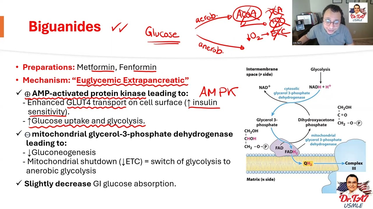 DR TA7: ENDOCRINE PHARMACOLOGY 2