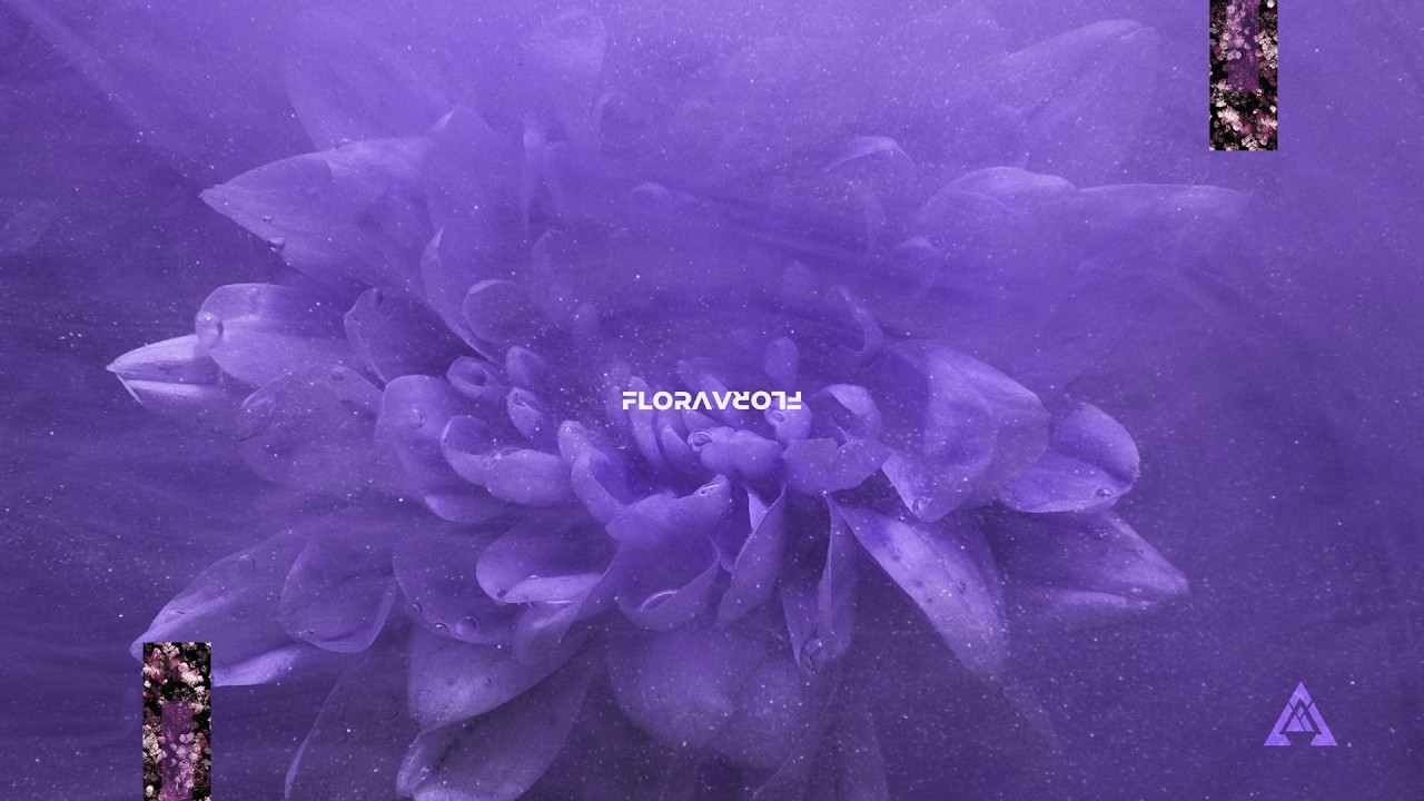 ANDES – Flora (Full Album Visualizer) [2026]