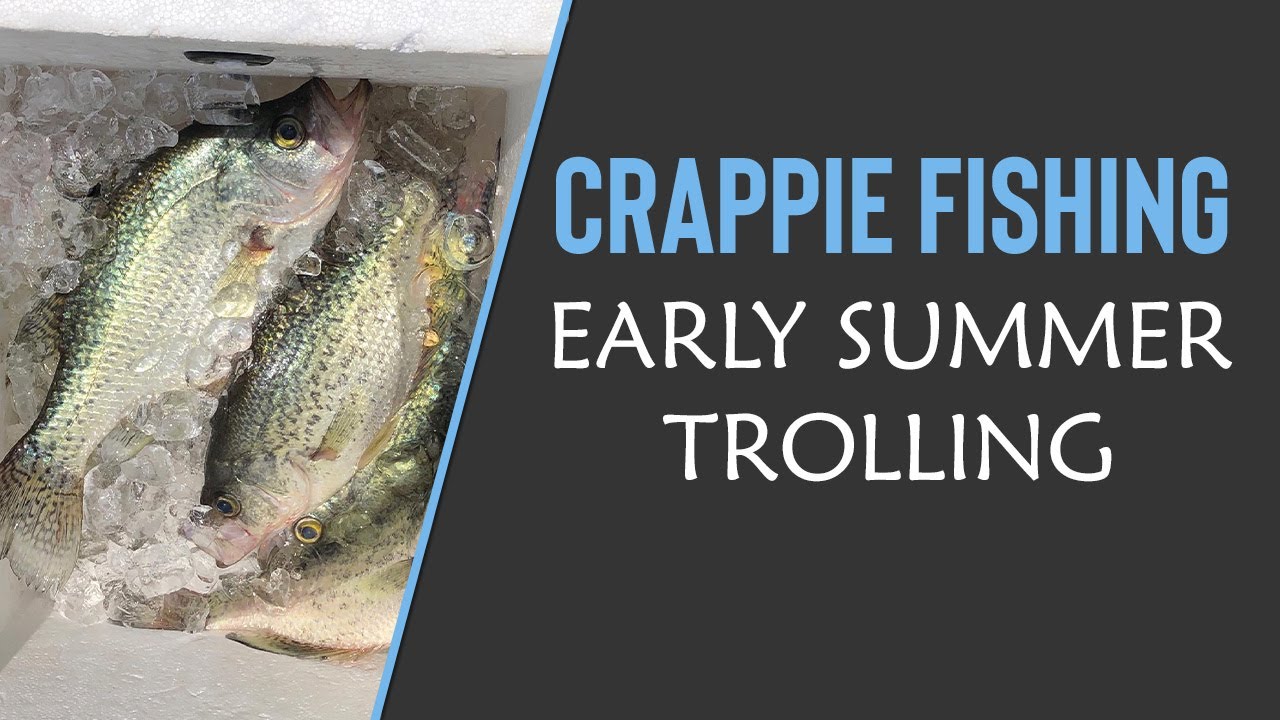 🎣 Crappie Fishing - Early Summer Trolling