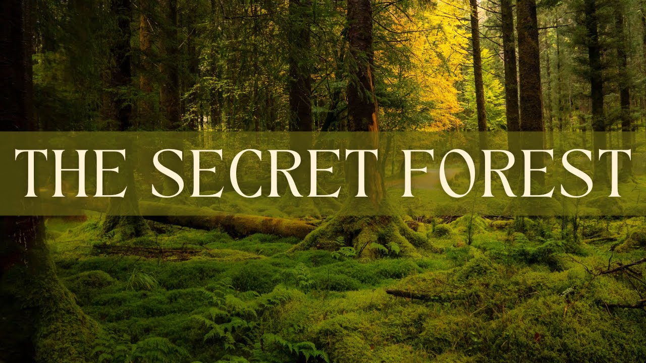 Discover Ireland's Hidden Gem  | The Enchanting Gougane Barra Forest