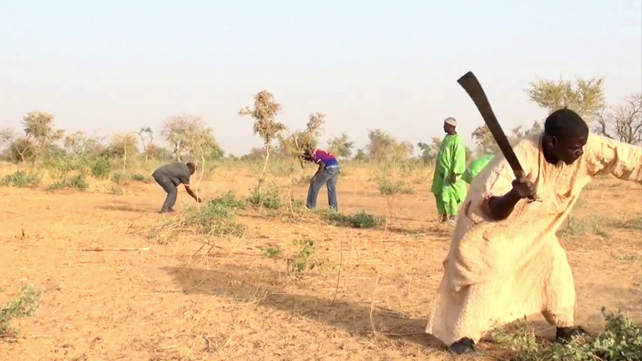 Sahel Eco Mali (French)