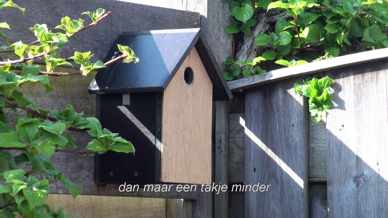 mezenkast koolmees 2 nestbouw