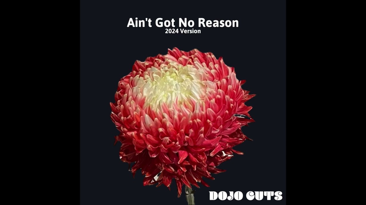 Ain't Got No Reason 2024 Version