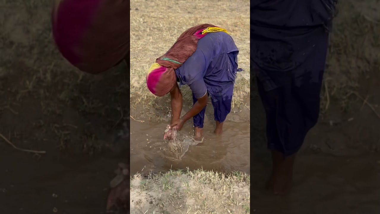Daily routine  work  in Village  by woman