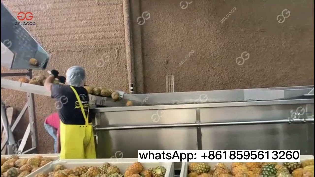 Pineapple Processing Equipment-Pineapple Washing And Sorting Machine