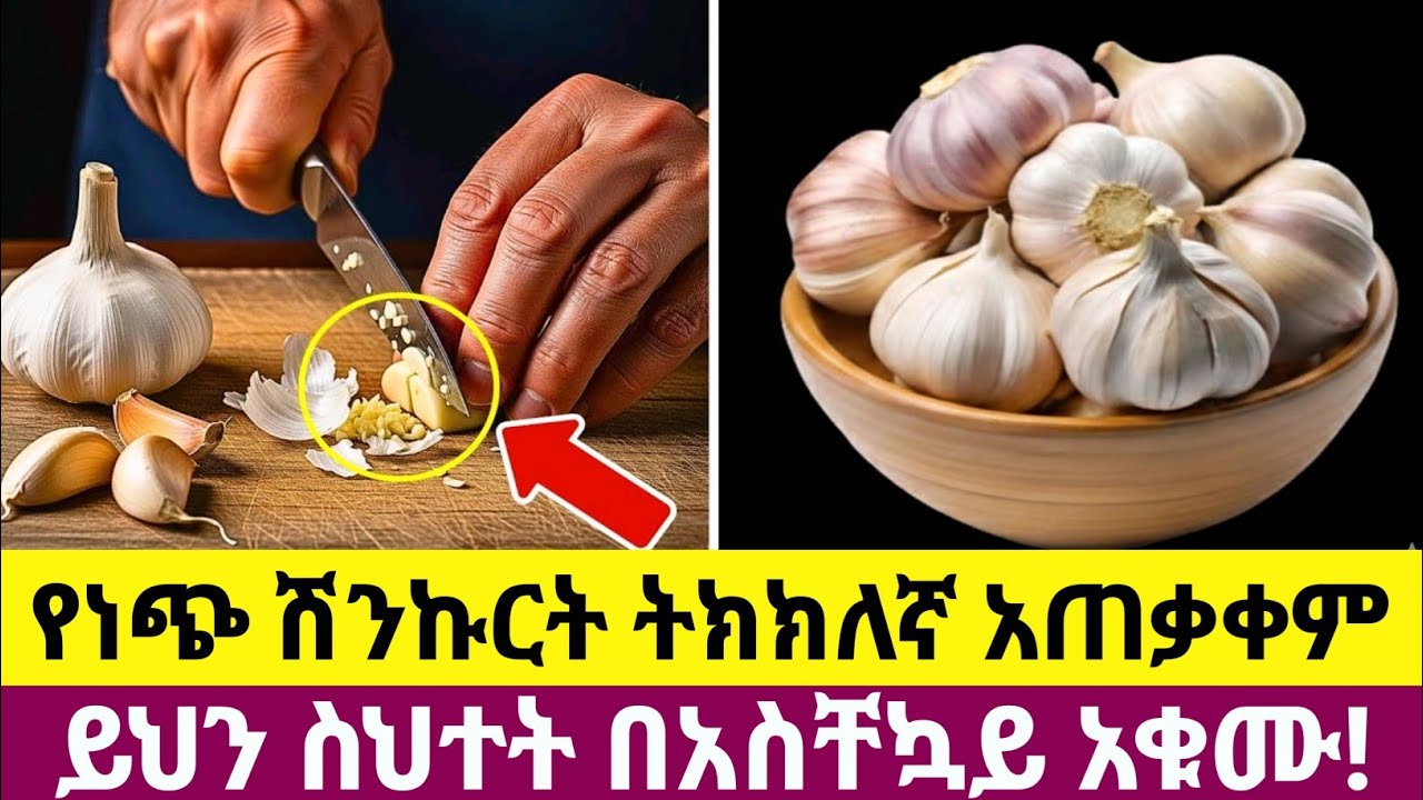 የነጭ ሽንኩርት ትክክለኛ አጠቃቀም | ነጭ ሽንኩርት ወደ ተአምረኛ መድኃኒትነት የሚቀየርበት ብቸኛው ዘዴ