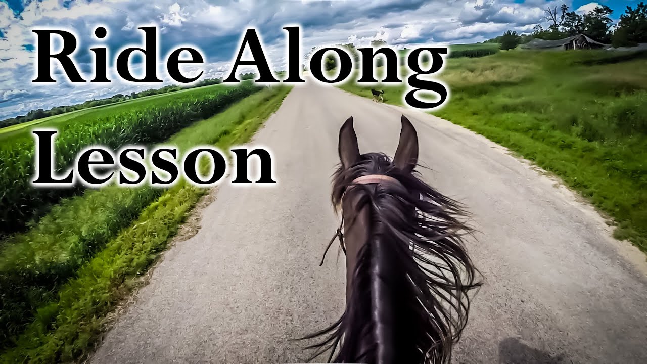 A Smooth Gait Naturally - Ride Along Lesson - part 1