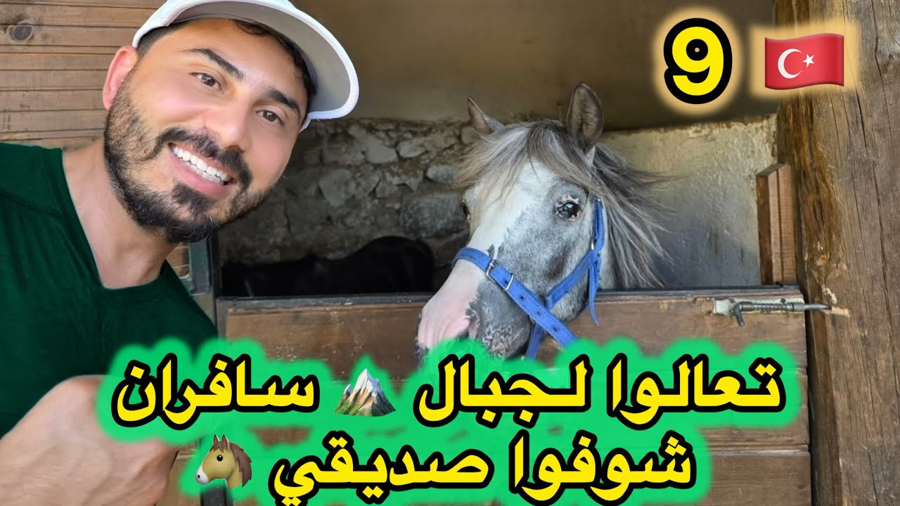 تركيا مو فقط اسواق 🫶مغامرة جديدة بالطبيعة🏔️ 🌳| مشاوي 🍗 بالجبال