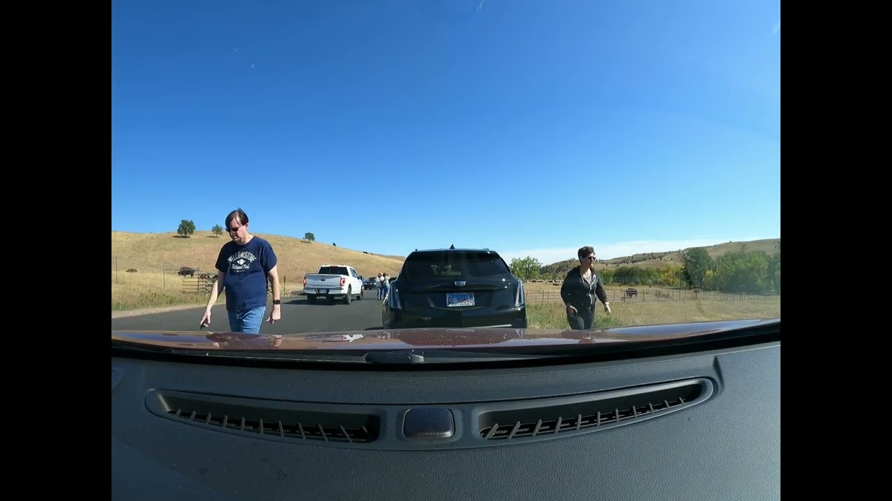 Custer SD to Custer State Park Wildlife Loop