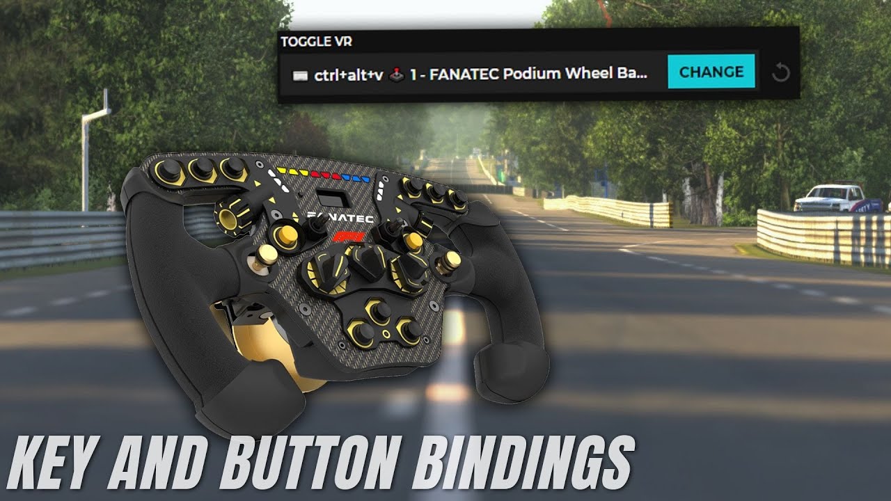 Racelab - Key and Button bindings