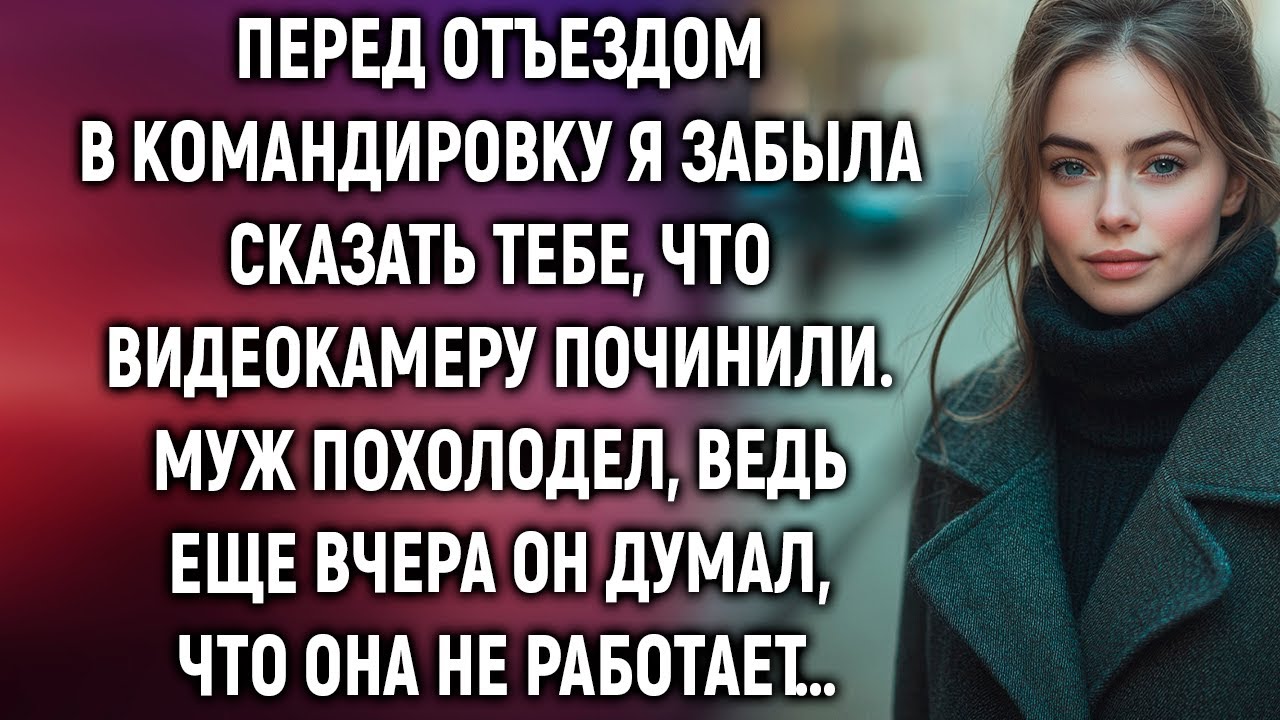 Перед отъездом в командировку я забыла сказать тебе, что видеокамеру починили. Муж похолодел…