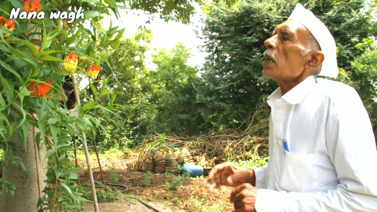 कळलावी या वनस्पतीची माहिती व उपयोग