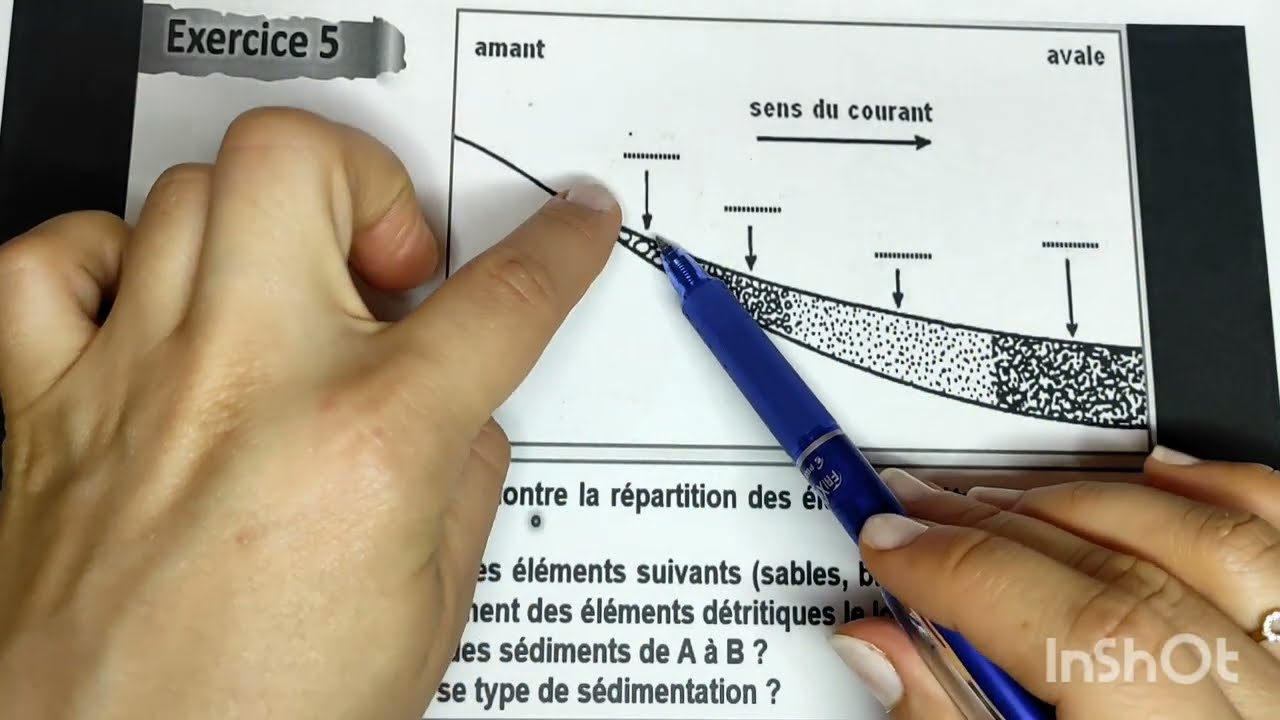 تصحيح امتحان SVT + مراجعة عامة formation des roches sédimentaires