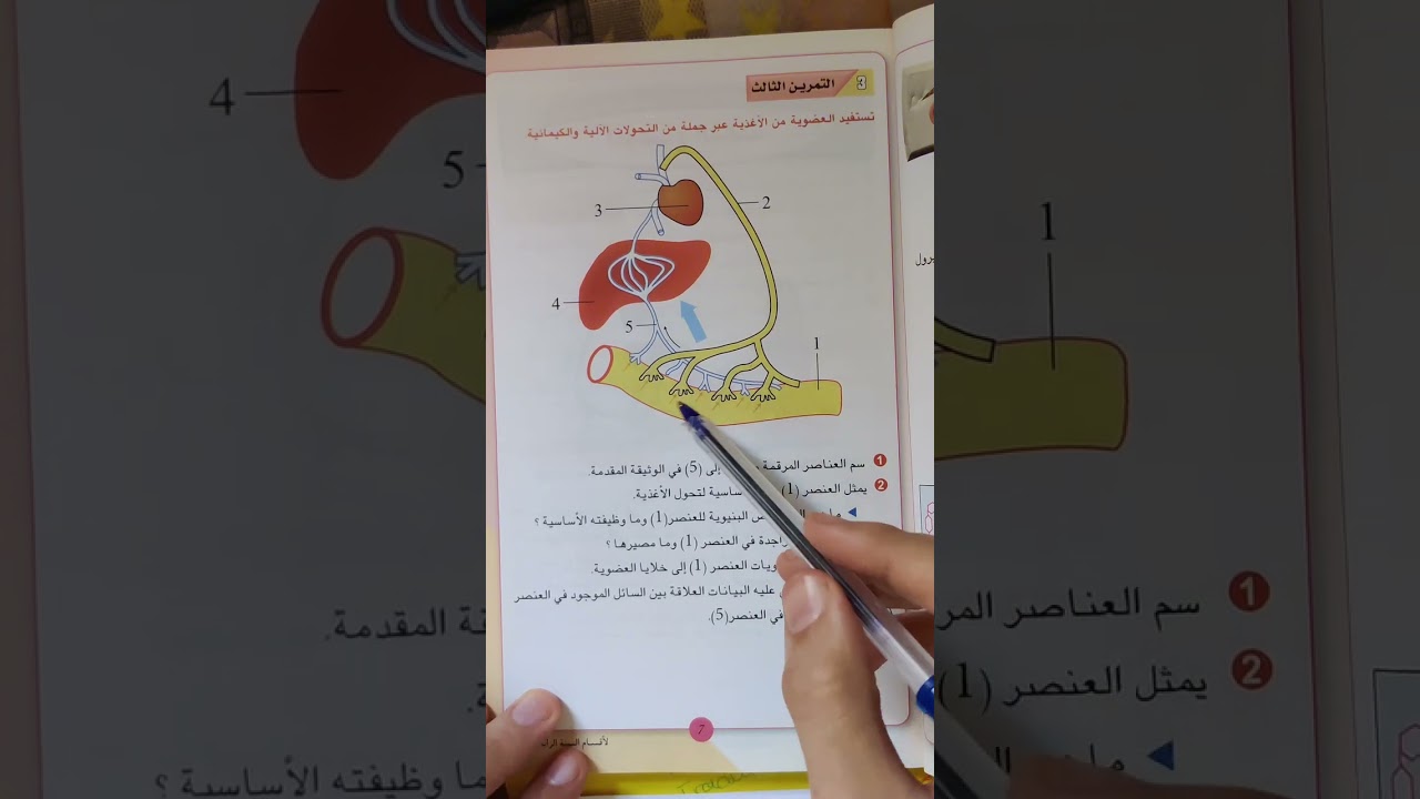 تمرين حول طريقا الامتصاص المعوي للسنة رابعة متوسط علوم طبيعة