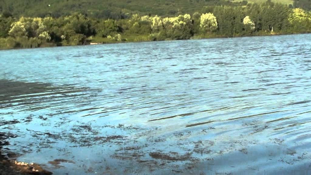 Pescuit biban la musca artificiala 2012