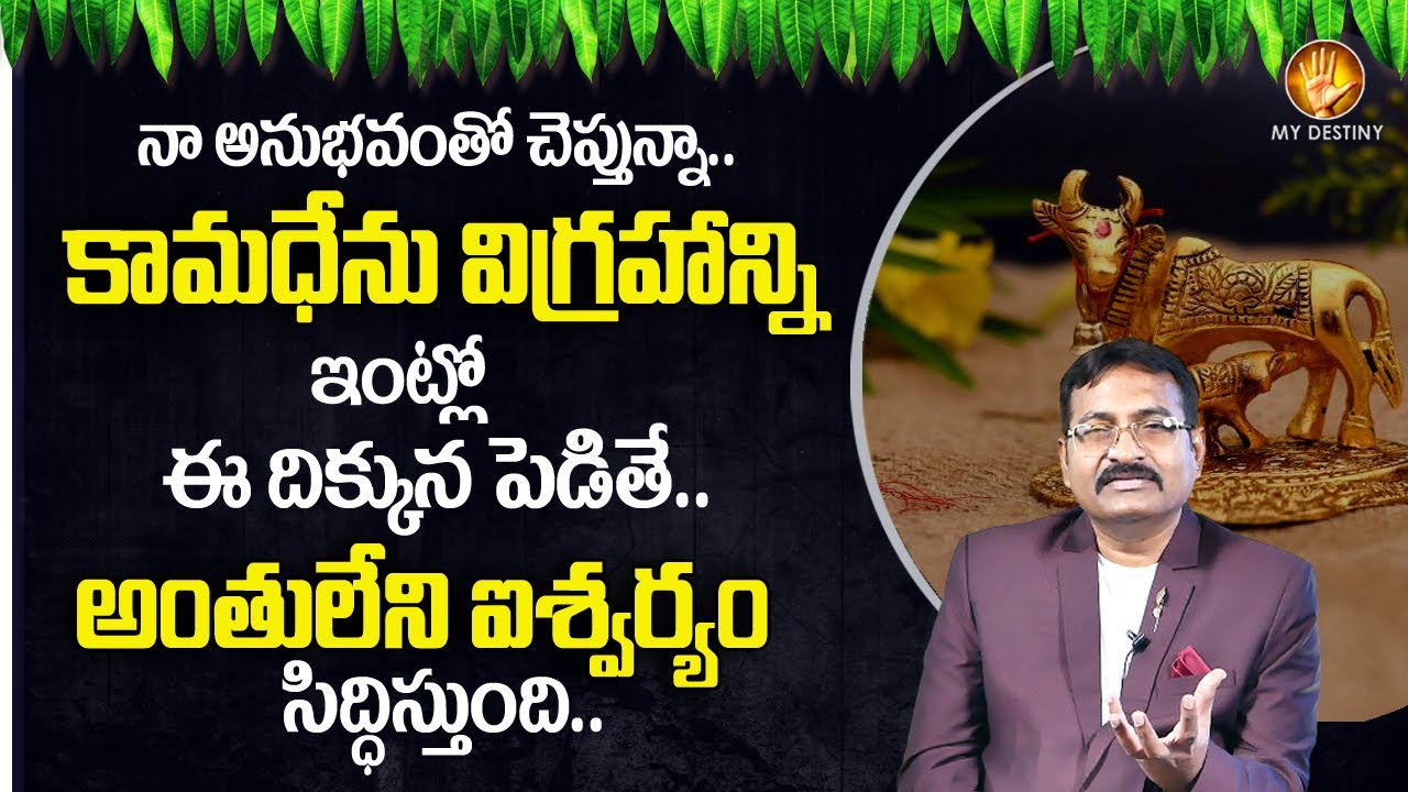 BVSSR : Importance of Kamadhenu at Home | Best Vastu Tips In Telugu | My Destiny