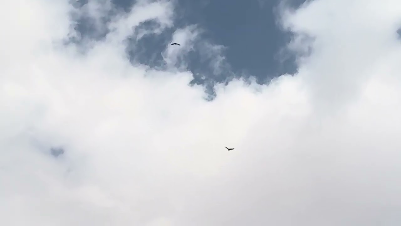 عقاب⚔️