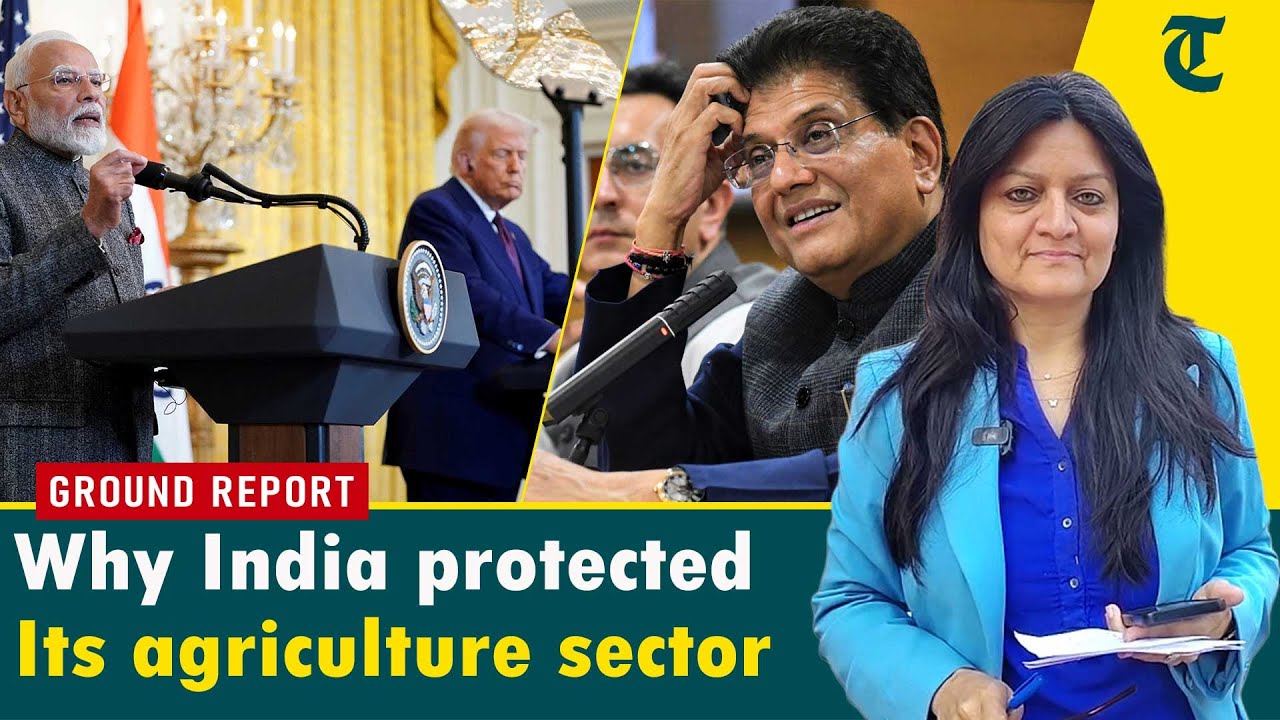 India–US Trade Explained: Why dairy, poultry and staples remain off-limits
