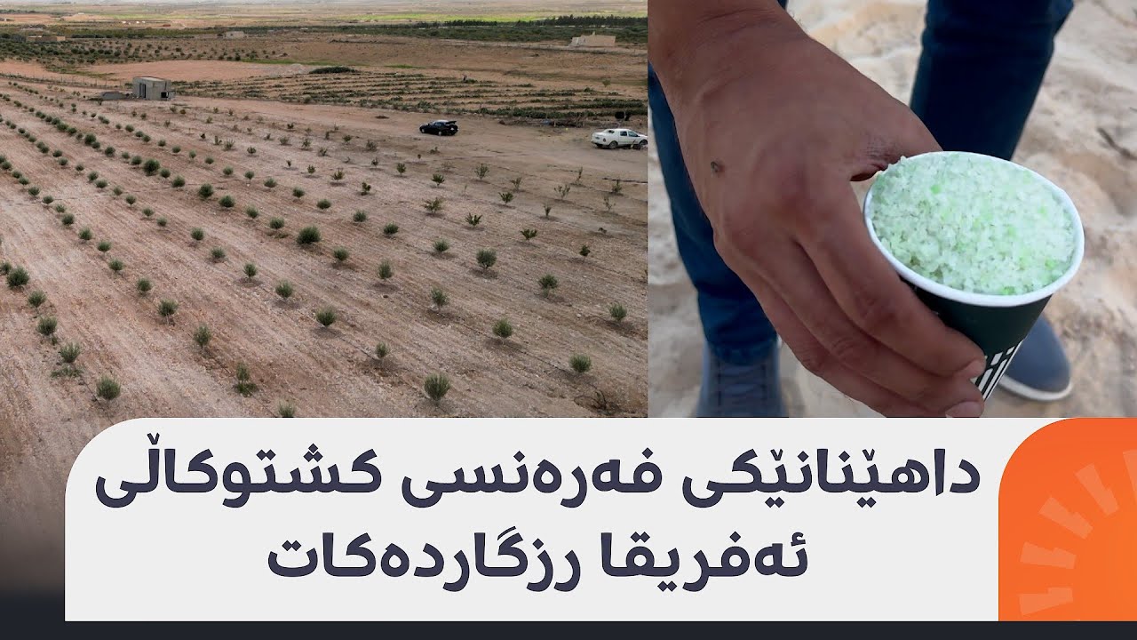 بزانە چۆن دەنکۆڵەی مادەیەکی فەرەنسی کشتوکاڵی ئەفریقا لە وشکەساڵی رزگاردەکات