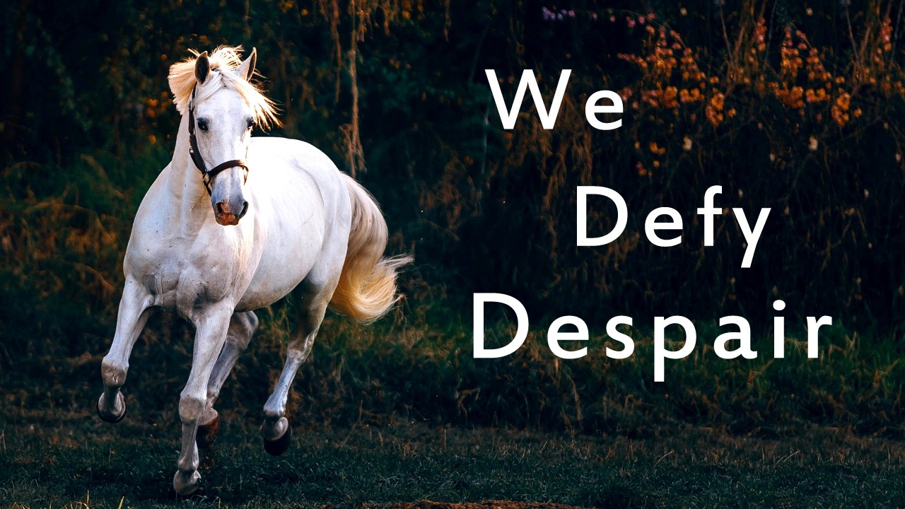 WE DEFY DESPAIR | “STUDIO” | SONG OF GRIEF AND HOPE