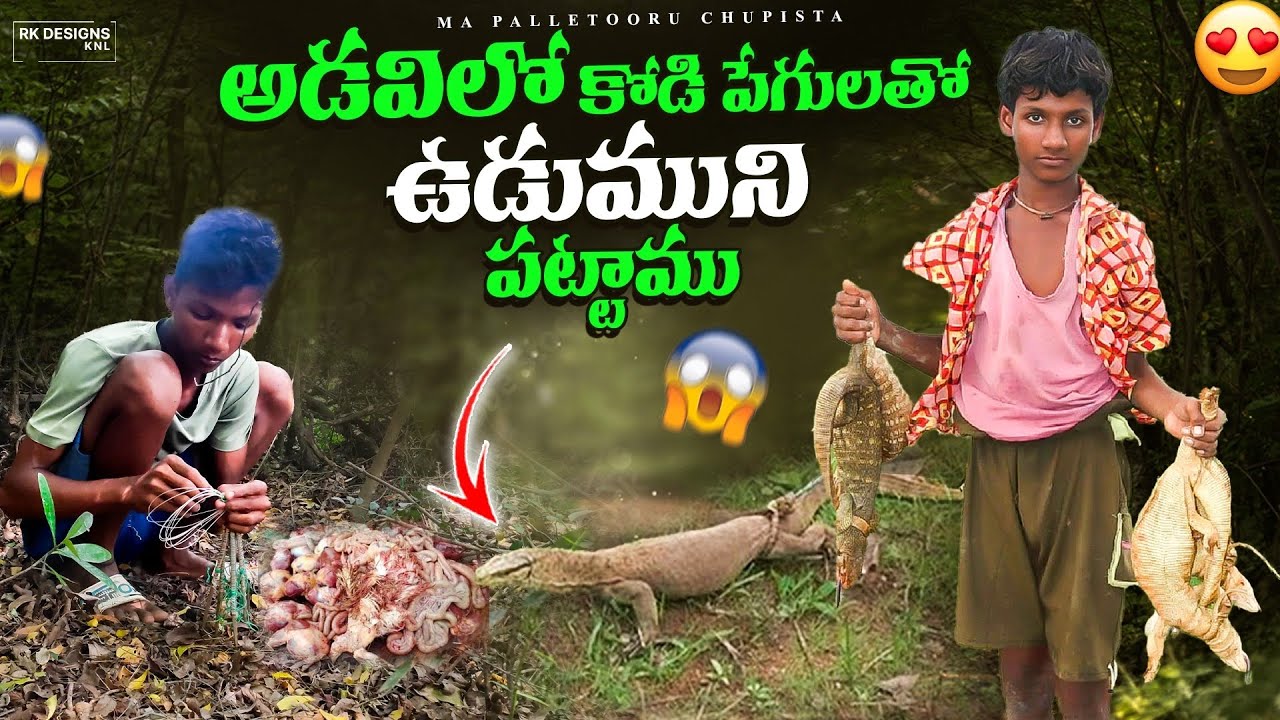 కోడి పేగులతో 🦎 ఉడుము పట్టాము 👈 Setting traps for skunks in the forest || udumu ucchulu