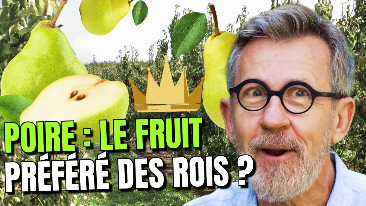POIRE 🍐 : le fruit dont raffolaient les rois 👑