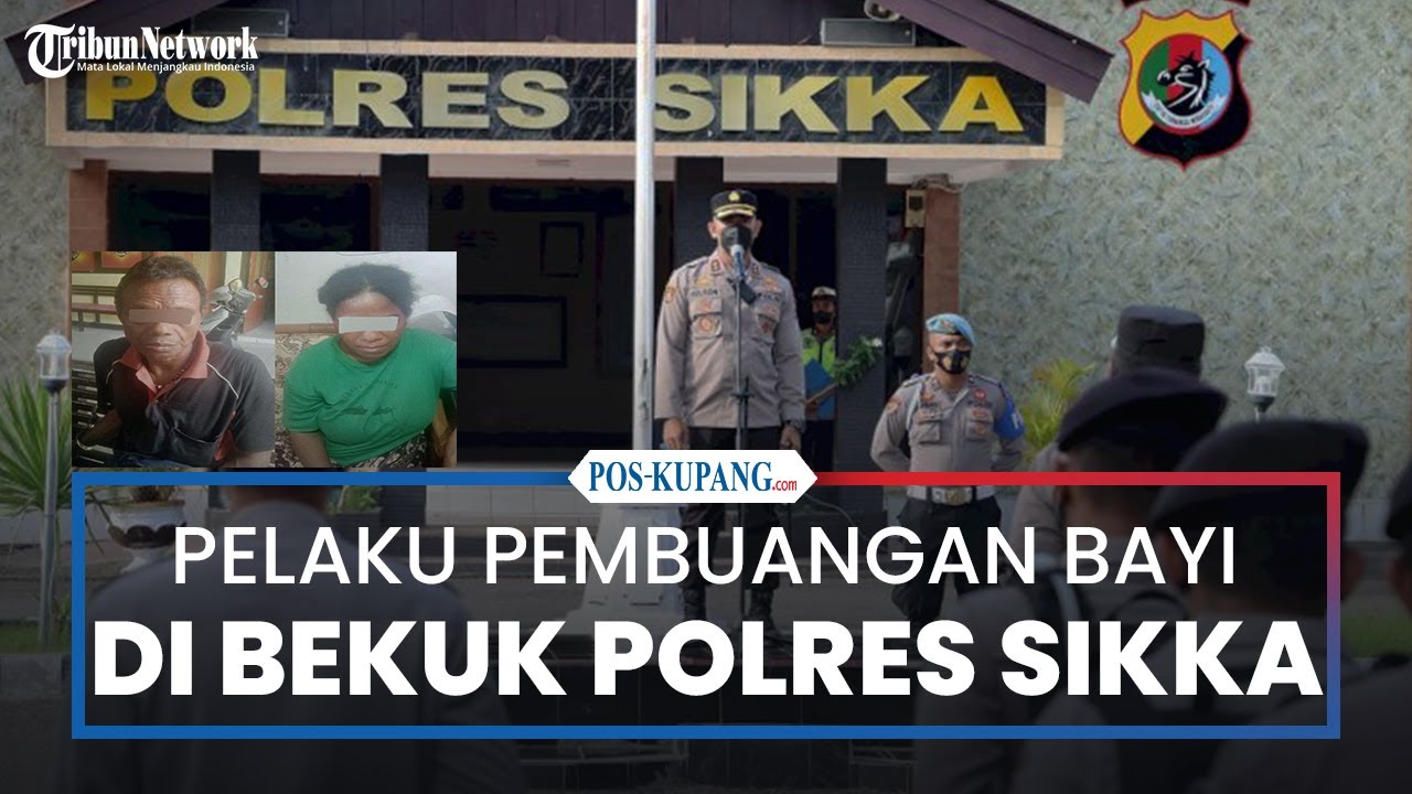 Pembuangan Bayi di Kloangpopot Sikka, Polisi Bekuk 2 Pelaku, Diduga Hasil Hubungan Gelap