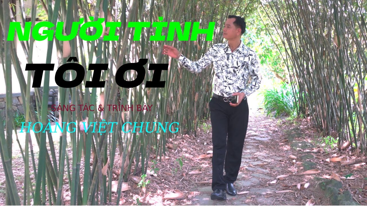 MV4K -  NGƯỜI TÌNH TÔI ƠI - sáng tác & trình bày - HOÀNG VIỆT CHUNG