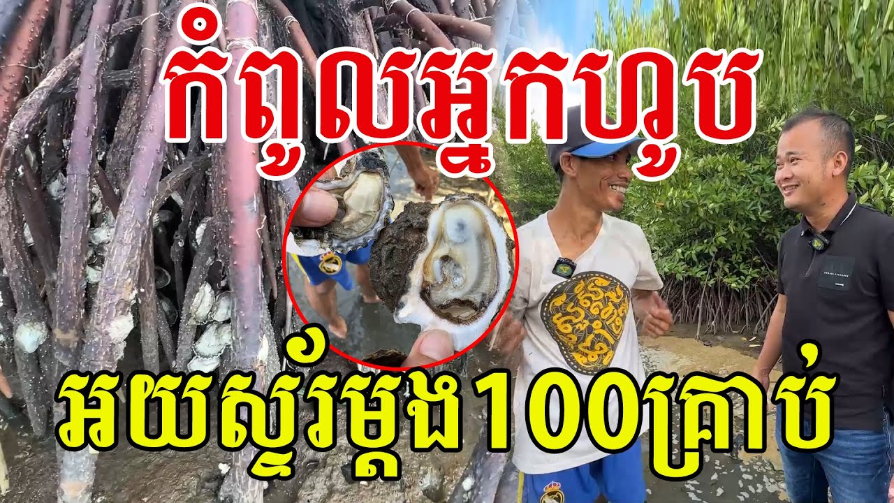 កំពូលអ្នកហូប​អយស្ទ័រ​ លេងម្ដង១០០គ្រាប់​ មេីលទៅទំនងឆ្ងាញ់ណាស់
