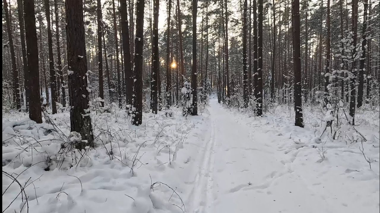 На лыжах от чартова озера. Деревня Зялёная. Деревня Чарнуха. Гродненский район.
