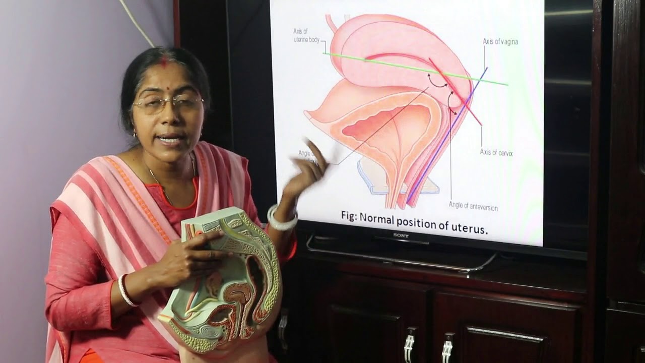 Lecture on Female genital organ