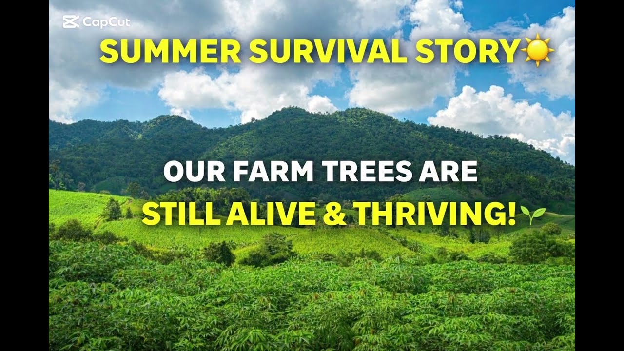Summer Survival Story &mdash; Our Farm Trees Are Still Alive and Thriving! 🌱 